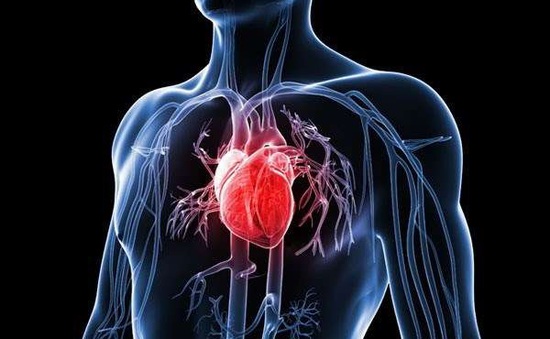Điều trị sớm cholesterol cao giúp ngăn chặn nguy cơ bệnh tim mạch và đột quỵ
