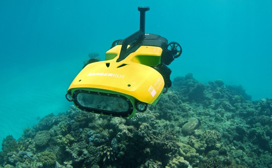 Robot thay con người nuôi trồng san hô