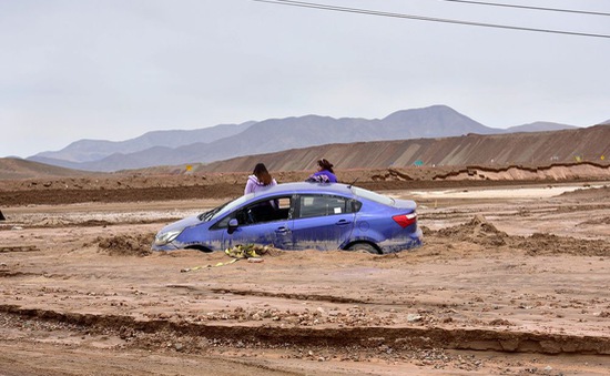 Ngập lụt tại sa mạc khô hạn nhất thế giới