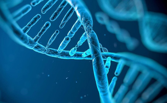 Lần đầu ứng dụng công nghệ giải mã gen bằng trí tuệ nhân tạo