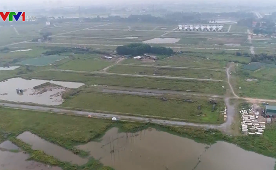 Thủ tướng yêu cầu Hà Nội kiểm tra 2.000 ha đất bỏ hoang tại Mê Linh