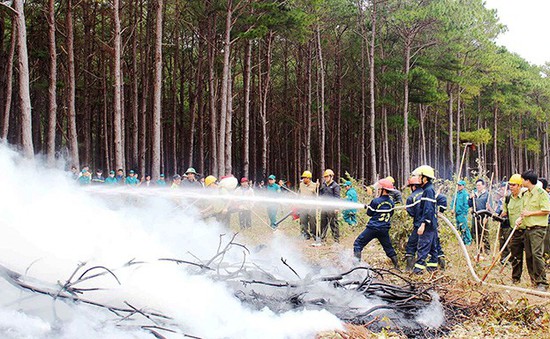 Tây Nguyên và Nam Bộ đứng trước nguy cơ cao xảy ra cháy rừng