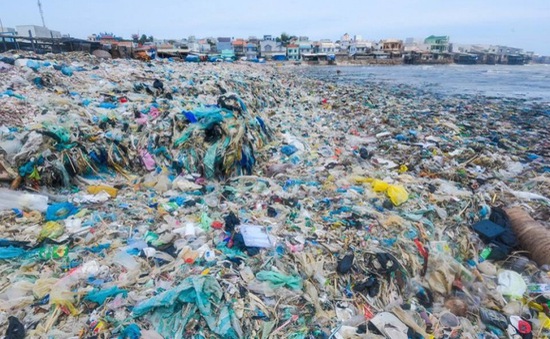 Câu chuyện về hơn 3.000 bức ảnh bóc trần sự thật về ô nhiểm môi trường biển