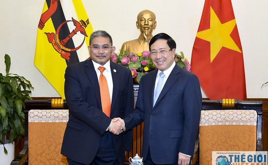 Phó Thủ tướng Phạm Bình Minh tiếp Bộ trưởng Bộ Ngoại giao Brunei