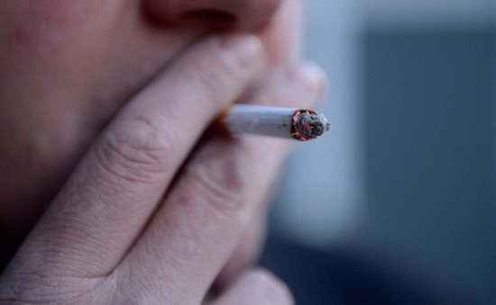Đan Mạch cấm nhân viên làm việc trong lĩnh vực công hút thuốc
