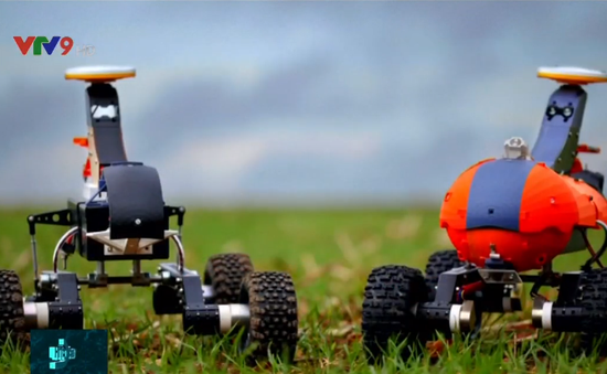Robot làm ruộng giúp giảm đến 95% việc sử dụng thuốc trừ sâu