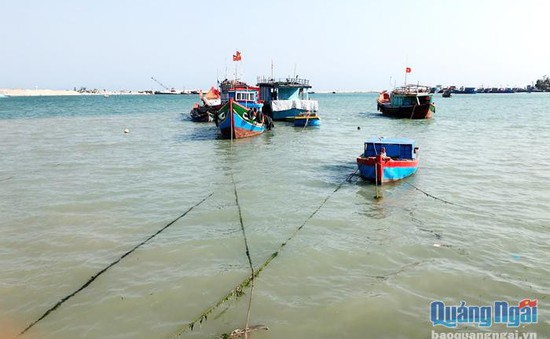 Quảng Ngãi giảm tàu khai thác thủy sản ven bờ