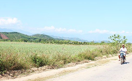"Sốt" đất bất thường ở vùng nông thôn Khánh Hòa