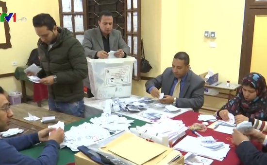 Ai Cập kiểm phiếu trưng cầu dân ý về sửa đổi Hiến pháp