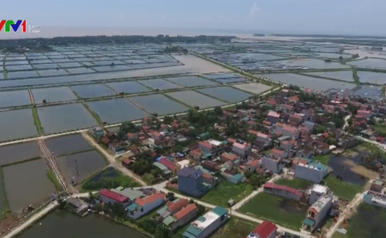 Ninh Bình phát triển kinh tế bãi ngang ven biển