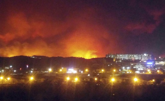 Hàn Quốc: Tuyên bố thảm họa đặc biệt do cháy