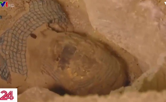 Truyền hình trực tiếp mở quan tài xác ướp 2.500 năm tại Ai Cập