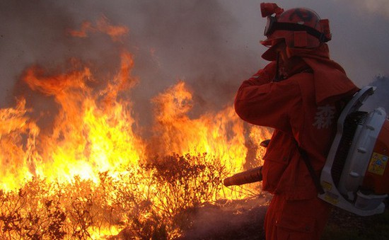 Cháy rừng lan rộng ở Tây Nam Trung Quốc