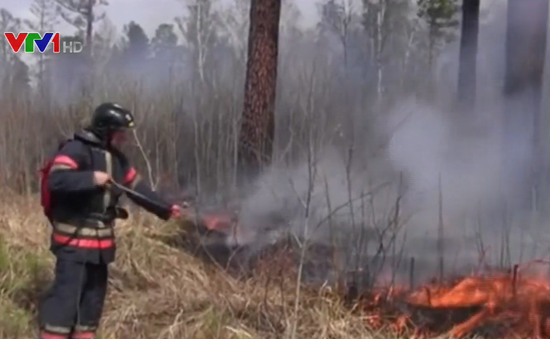 Cháy rừng dữ dội ở Siberia, Nga