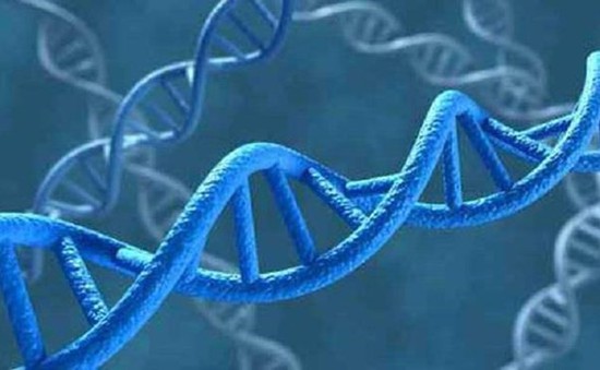 Somalia lần đầu tiên sử dụng ADN để kết án các "yêu râu xanh"