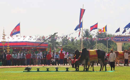 Hoàng gia Campuchia tổ chức Lễ Hạ điền 2019