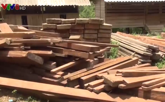 Quảng Bình: Tịch thu gỗ lậu trong trụ sở UBND xã