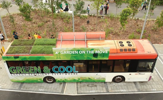 Khu vườn trên nóc xe buýt ở Singapore