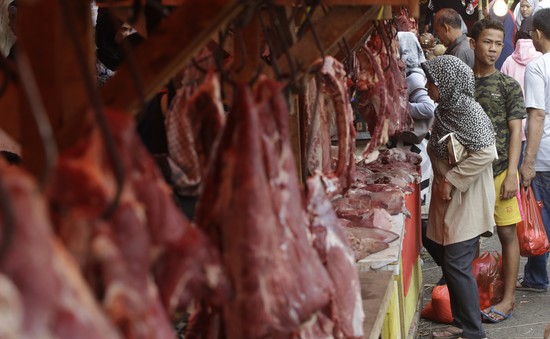 Tương lai sản phẩm thịt không qua giết mổ động vật