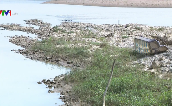 Hàng nghìn ha lúa ở Quảng Bình, Nghệ An bị khô hạn