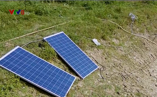 Tưới cây bằng năng lượng mặt trời tại Ấn Độ
