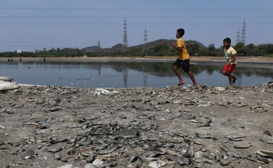 Điểm du lịch nổi tiếng của Ấn Độ đang đối diện với tình trạng thiếu nước trầm trọng