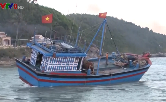 Ngư dân Quảng Ngãi gặp khó khăn vì cửa biển bị bồi lấp
