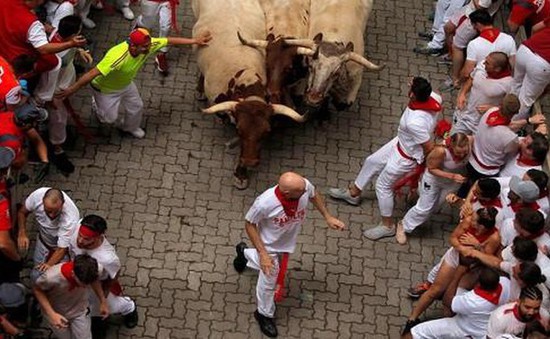 Thêm người bị thương trong lễ hội chạy đua với bò tót ở Tây Ban Nha