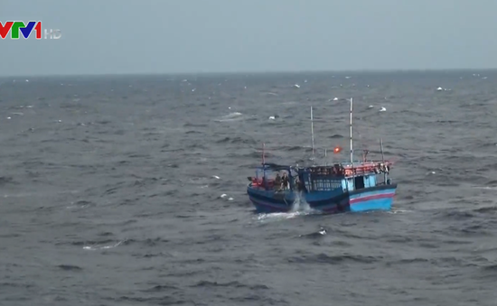 Tiếp tục tìm kiếm 9 ngư dân mất tích trên biển Hải Phòng