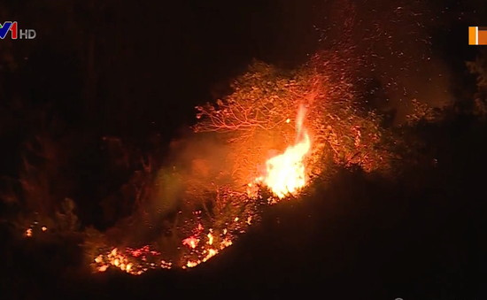Cháy rừng tại Đà Nẵng, hàng trăm người dập lửa trong đêm