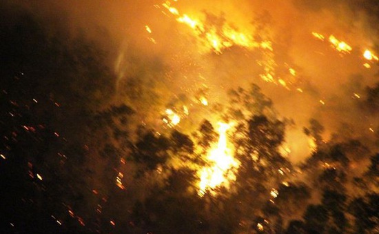 Cơ bản khống chế vụ cháy rừng phòng hộ ở Bình Định