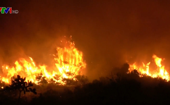 Cháy rừng nghiêm trọng ở Hy Lạp, nhiều người dân phải sơ tán