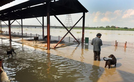 Báo động nguy cơ lũ lụt nghiêm trọng tại New Delhi, Ấn Độ