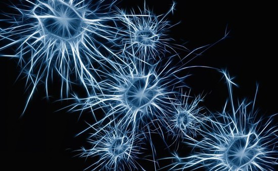 Phát hiện sự liên quan giữa tế bào miễn dịch ở não và bệnh Alzheimer