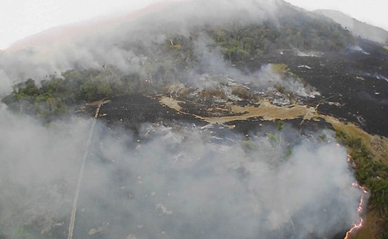 Rừng Amazon đang cháy tới bờ vực thảm họa