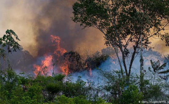 Hàng trăm người Brazil nhập viện do ảnh hưởng cháy rừng Amazon