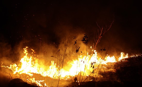 Cháy rừng Amazon -  "Tấm khiên sống" bảo vệ Trái đất đang lâm nguy