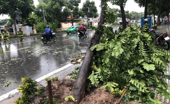 Cập nhật thiệt hại bão số 3: 8 người thiệt mạng, 11 người vẫn mất tích