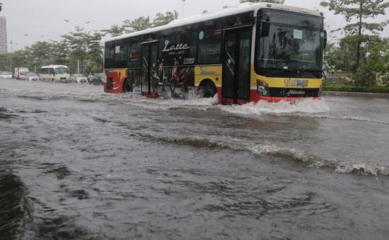 Chùm ảnh: Hà Nội có nhiều điểm ngập nước, cây đổ ảnh hưởng đến giao thông