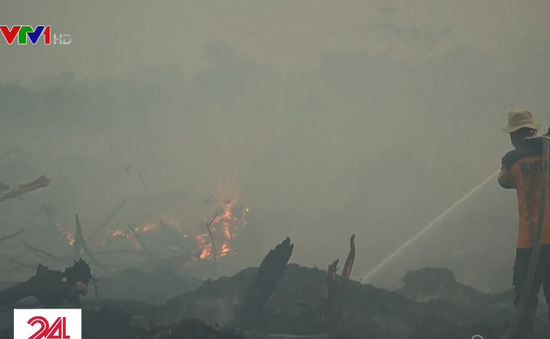Cháy rừng dữ dội tại Indonesia, nhiều nước Đông Nam Á bị ảnh hưởng