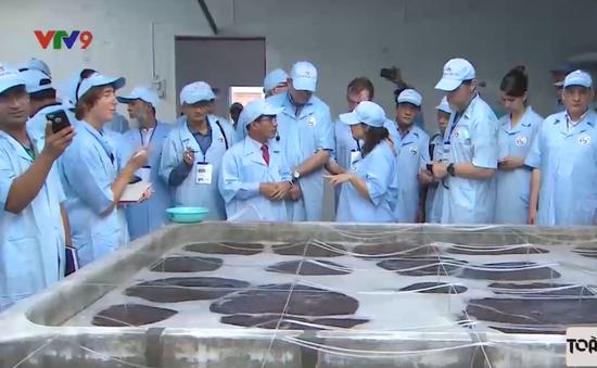 Tham quan thực tế quy trình sản xuất tôm sạch Việt Úc