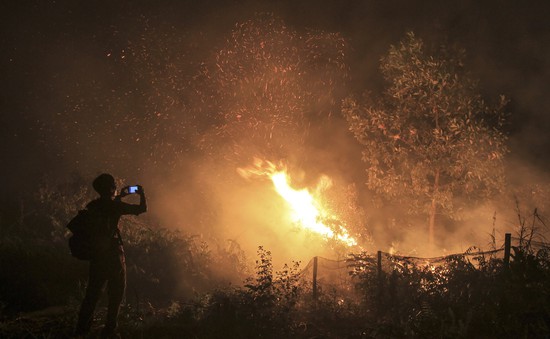 Indonesia xử lý thích đáng nghi phạm gây cháy rừng