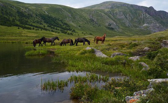 Những cảnh quan tuyệt vời trên dãy núi Altai của nước Nga
