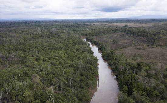 Rừng Amazon vẫn cháy âm ỉ