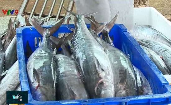 Xuất khẩu hải sản sang thị trường EU giảm rõ rệt