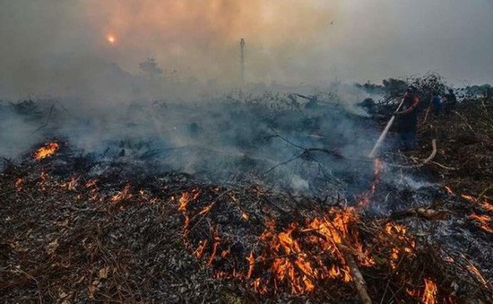 Indonesia tăng ngân sách dập cháy rừng