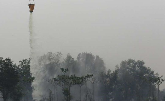 Bom nước - Phương pháp hữu hiệu dập cháy rừng ở Indonesia