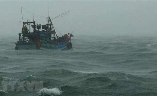 Nỗ lực tìm kiếm ngư dân mất tích trên biển Quảng Bình