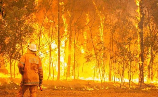 Hơn 100 đám cháy rừng ở Australia nguy cơ vượt kiểm soát