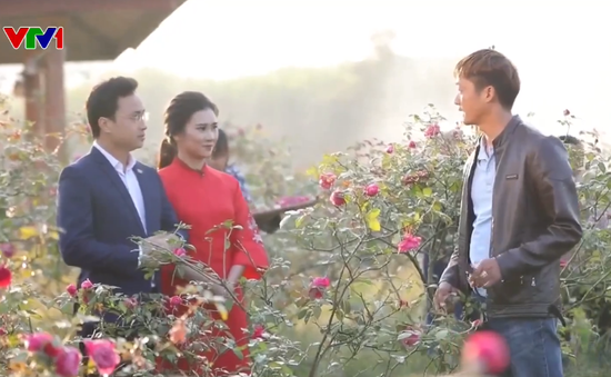 Ghé thăm trang trại hoa hồng cổ hồ Núi Mủn, Thái Nguyên